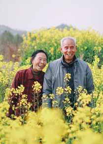 Couple asiatique se promenant dans un champ de fleur jaunes