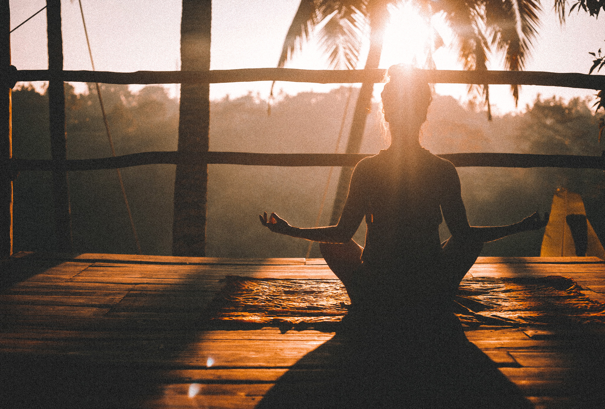 Yoga face à la jungle