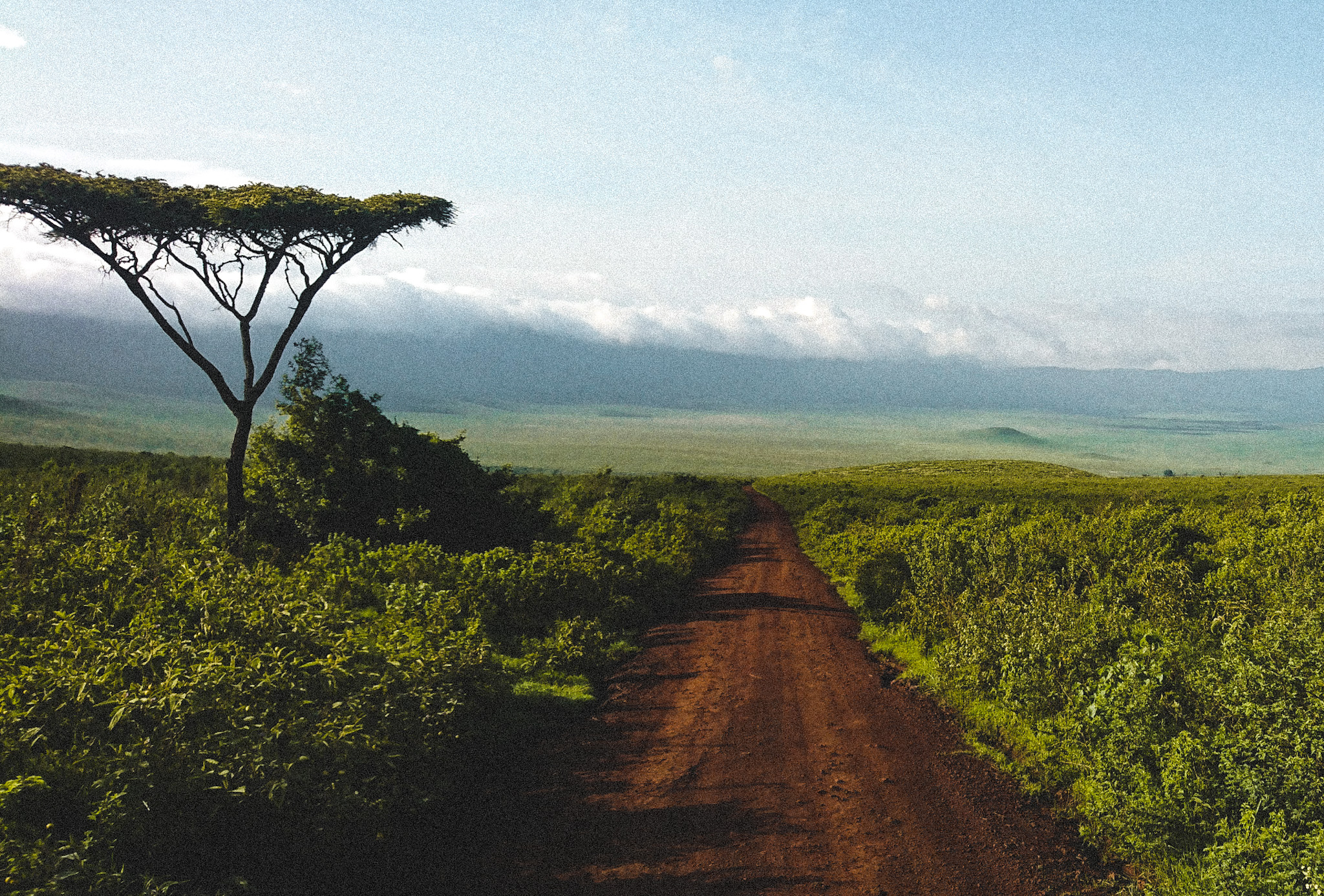 Paysage Tanzanie