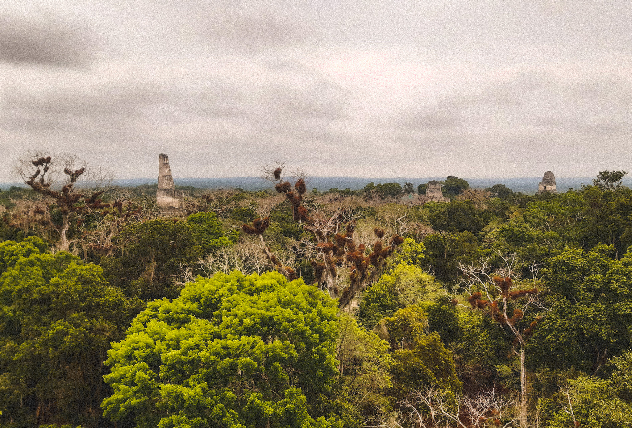 Ruines dans la jungle de Peten