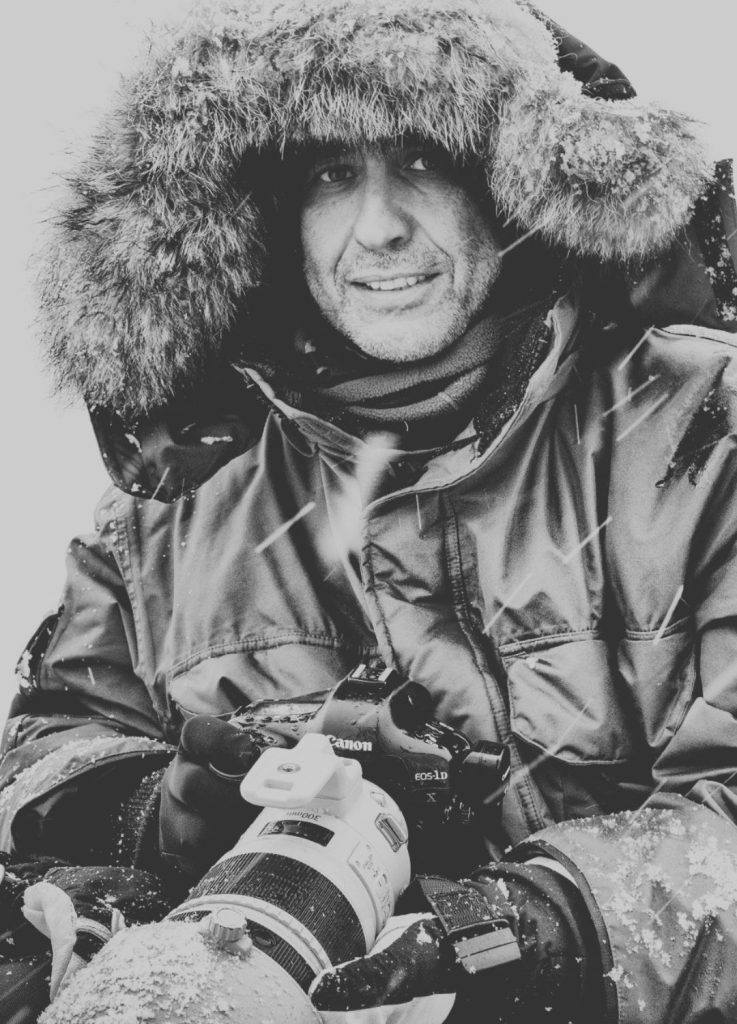 Photographe antarctique