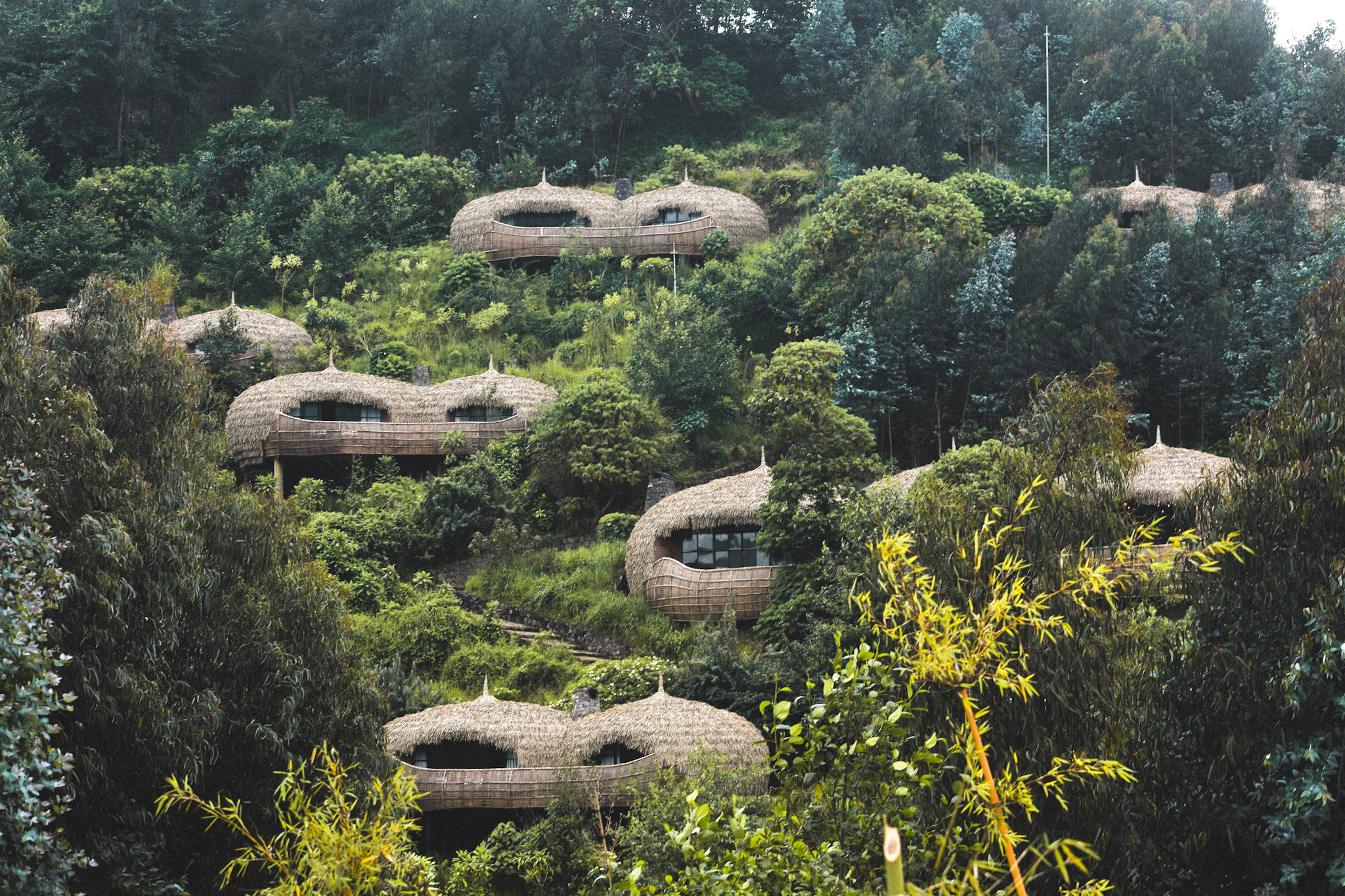 Cabanes luxueuses dans la jungle