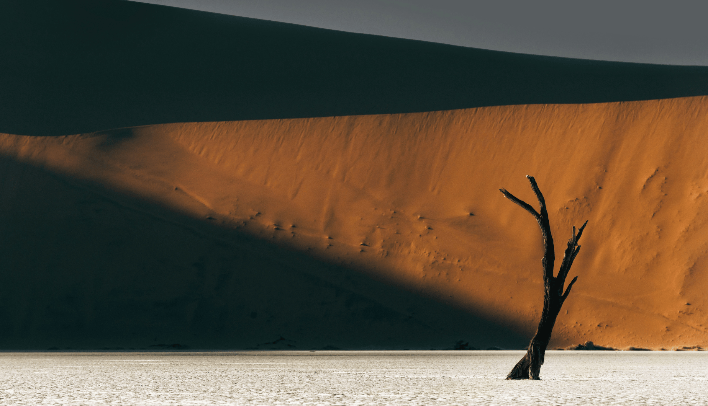 Désert du Namib
