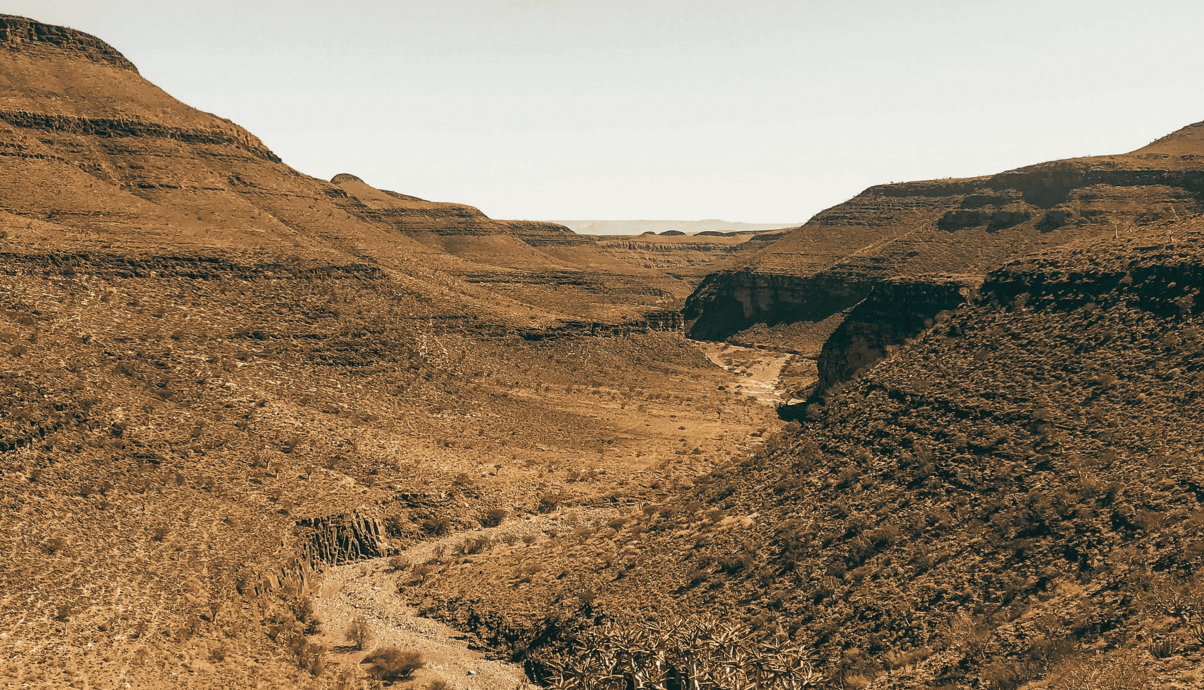 Rivière assechée - Namibie
